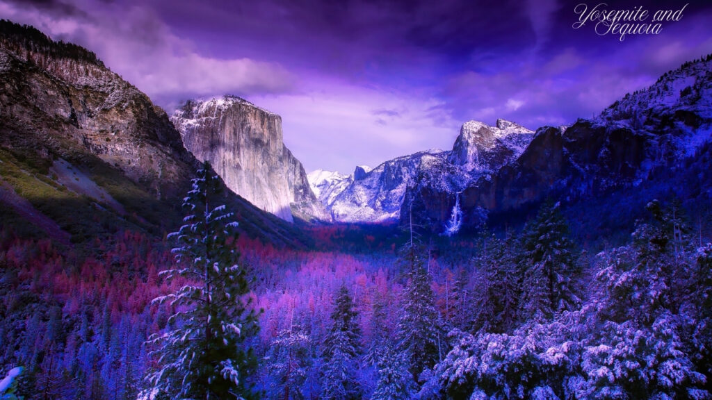 Yosemite and Sequoia