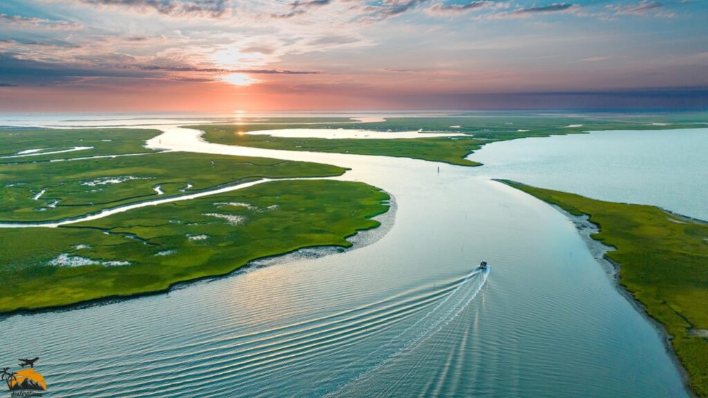 Assateague Island, Maryland & Virginia